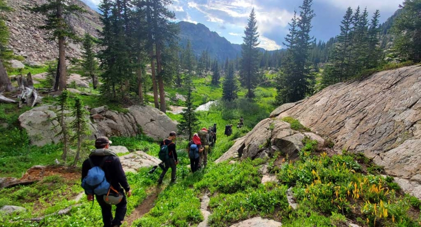 A group of people hike along a trail through a green area. There are mountains and evergreen trees in the background. 